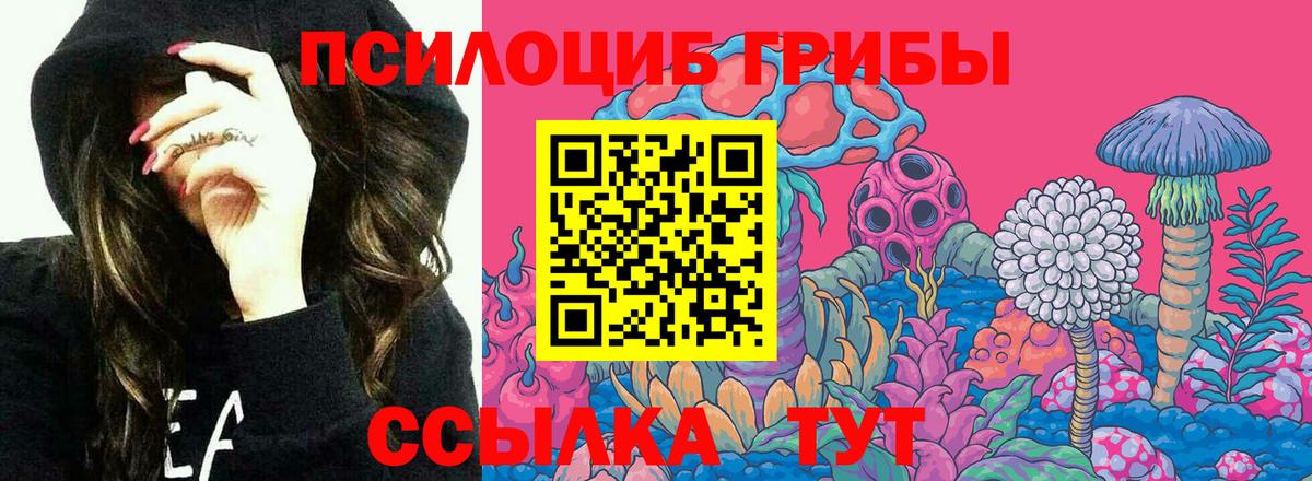 Псилоцибиновые грибы Psilocybine cubensis  Вход с VPN  Псилоцибиновые грибы Psilocybine cubensis  Дзержинский 