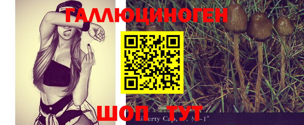 Псилоцибиновые грибы Psilocybe Дзержинский